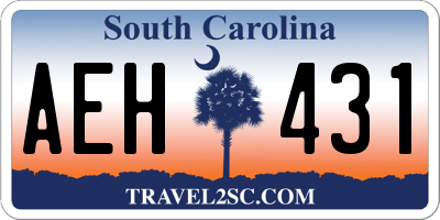 SC license plate AEH431