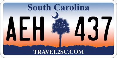 SC license plate AEH437