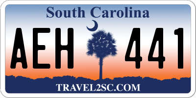 SC license plate AEH441