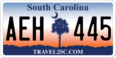 SC license plate AEH445