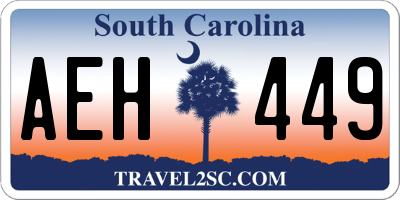 SC license plate AEH449