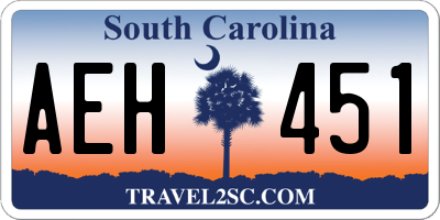 SC license plate AEH451