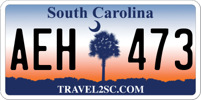 SC license plate AEH473