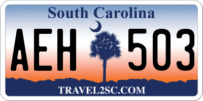 SC license plate AEH503