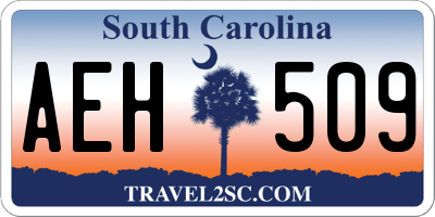 SC license plate AEH509