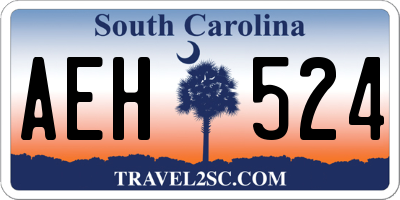 SC license plate AEH524