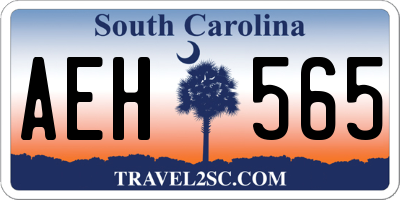 SC license plate AEH565