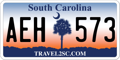 SC license plate AEH573
