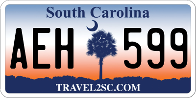 SC license plate AEH599