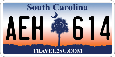 SC license plate AEH614