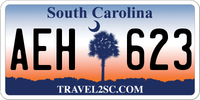 SC license plate AEH623
