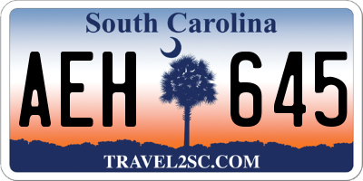 SC license plate AEH645