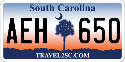 SC license plate AEH650