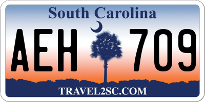 SC license plate AEH709