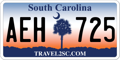 SC license plate AEH725