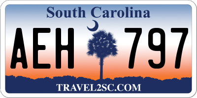 SC license plate AEH797