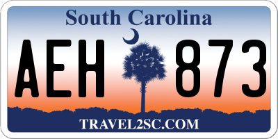 SC license plate AEH873