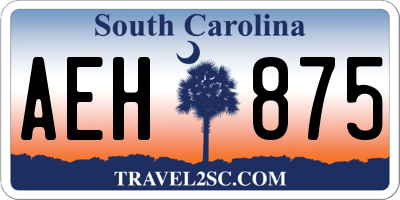 SC license plate AEH875