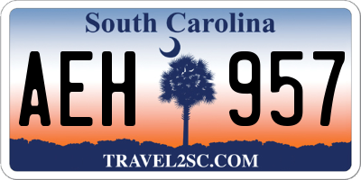 SC license plate AEH957