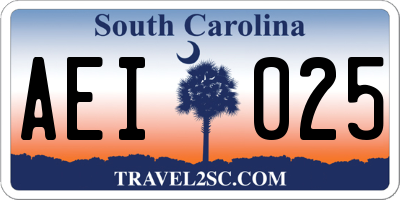 SC license plate AEI025