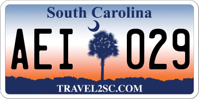 SC license plate AEI029