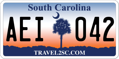 SC license plate AEI042