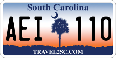 SC license plate AEI110