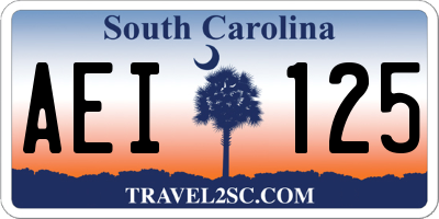 SC license plate AEI125