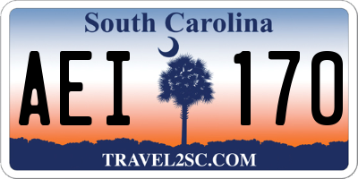 SC license plate AEI170