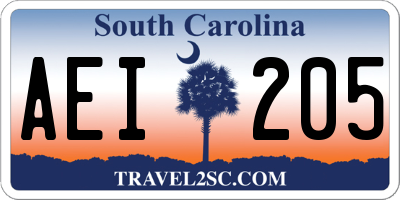 SC license plate AEI205