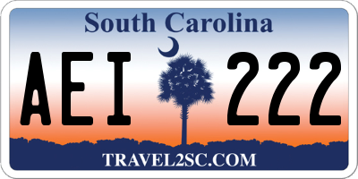 SC license plate AEI222