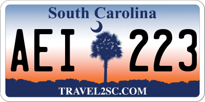 SC license plate AEI223
