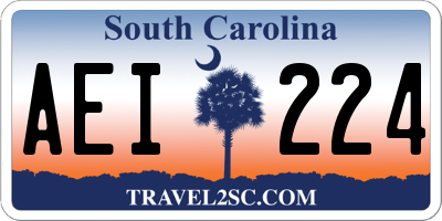 SC license plate AEI224