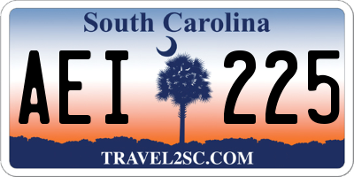 SC license plate AEI225