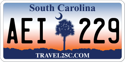 SC license plate AEI229
