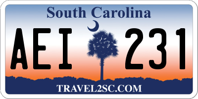 SC license plate AEI231