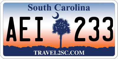 SC license plate AEI233