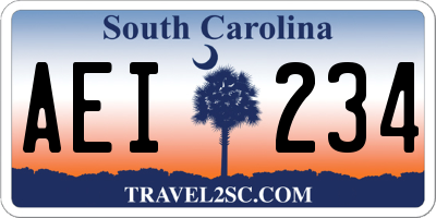 SC license plate AEI234