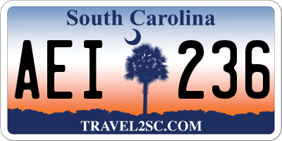SC license plate AEI236