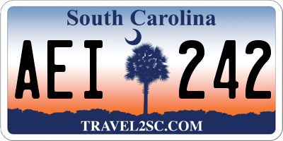 SC license plate AEI242