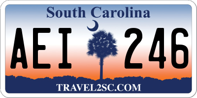 SC license plate AEI246