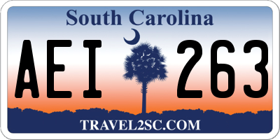 SC license plate AEI263