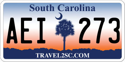 SC license plate AEI273