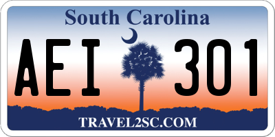 SC license plate AEI301