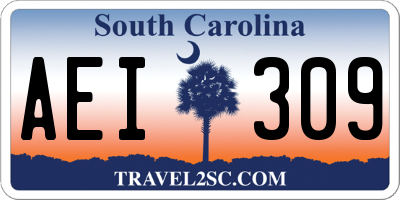 SC license plate AEI309