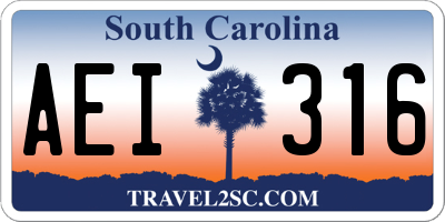 SC license plate AEI316