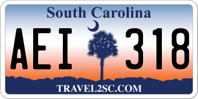 SC license plate AEI318