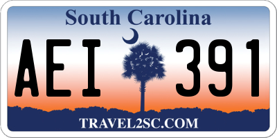 SC license plate AEI391