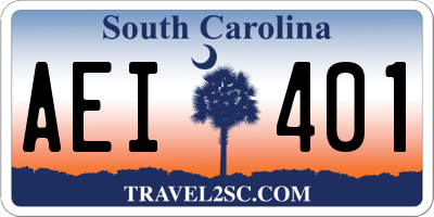 SC license plate AEI401