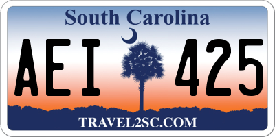 SC license plate AEI425